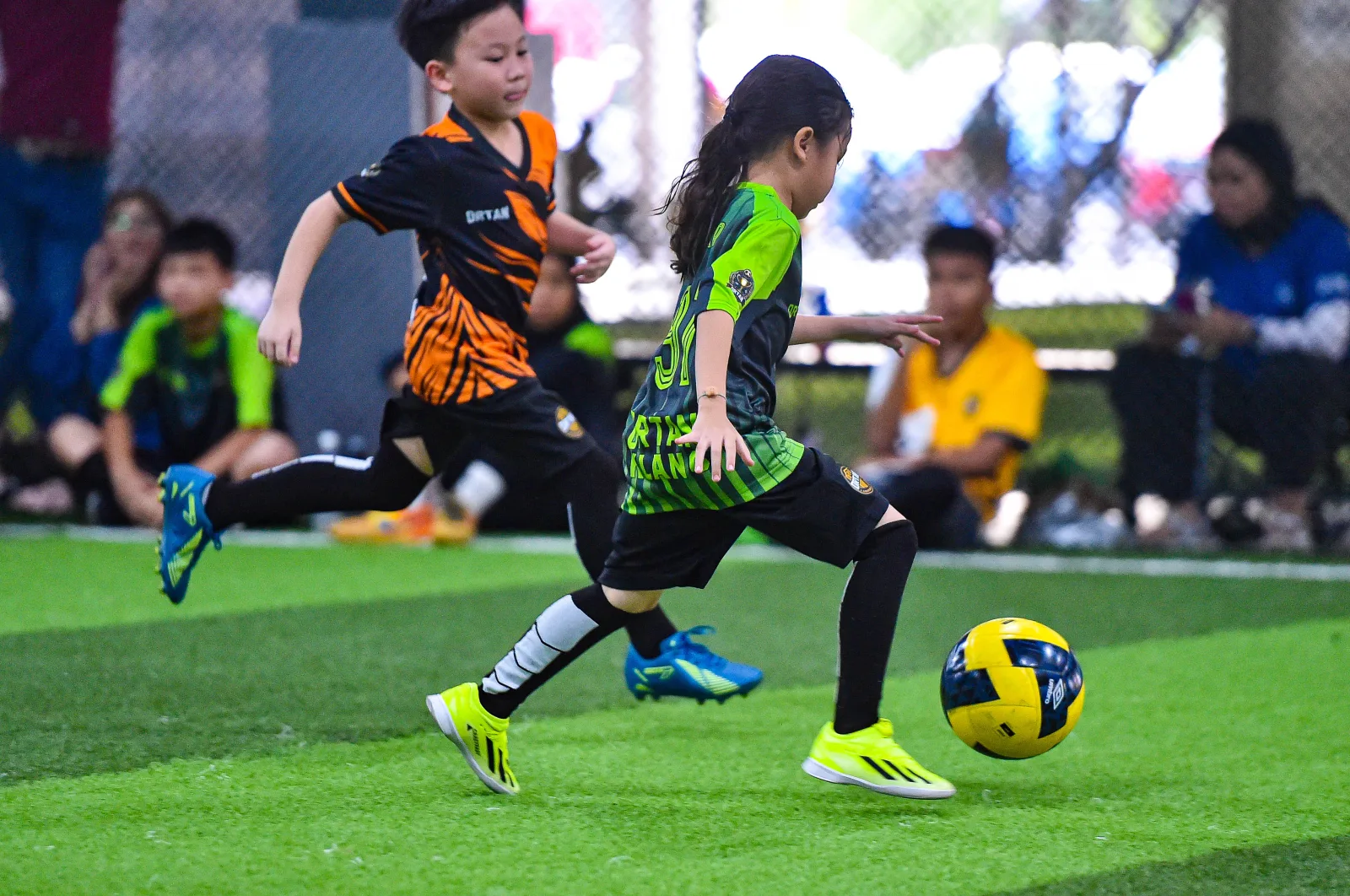 Liga Ortan background